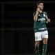 palmeiras são paulo brasileiro sub-17
