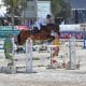 O programa de abertura da segunda semana do circuito português de hipismo do Vilamoura Champions Tour de 2020 começou nesta terça-feira (13). Quatro cavaleiros brasileiros esteve em ação no primeiro dia do evento, que contou com provas de cavalos jovens e o CSI3* (Concurso de Saltos Internacional 3 estrelas). A competição teve um início intenso com a participação de 350 conjuntos