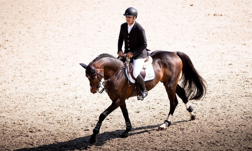 Rodrigo Pessoa - Leandro Abrahão - Pedro Veniss- Hipismo