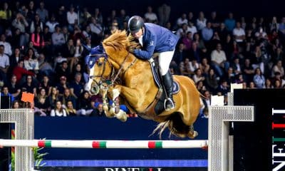 Indoor SHP Concurso de Salto Internacional e Nacional hipismo ao vivo ehv-1 vírus da herpes equina