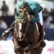 Bernardo Alves - João Victor Castro - Concurso três estrelas André Américo de Miranda hipismo saltos europa