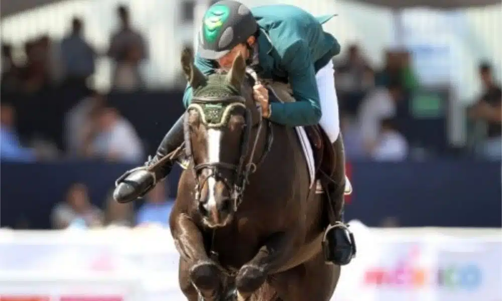 Bernardo Alves - João Victor Castro - Concurso três estrelas André Américo de Miranda hipismo saltos europa