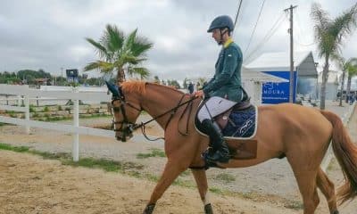 yuri mansur vilamoura