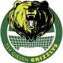Giesen volei
