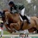 Marlon Zanotelli - João Victor Castro - Felipe Amaral - Concurso de hipismo