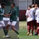 palmeiras fluminense brasileiro futebol
