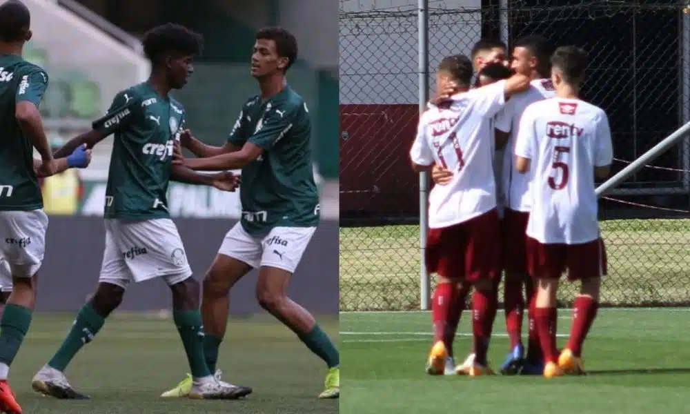 palmeiras fluminense brasileiro futebol