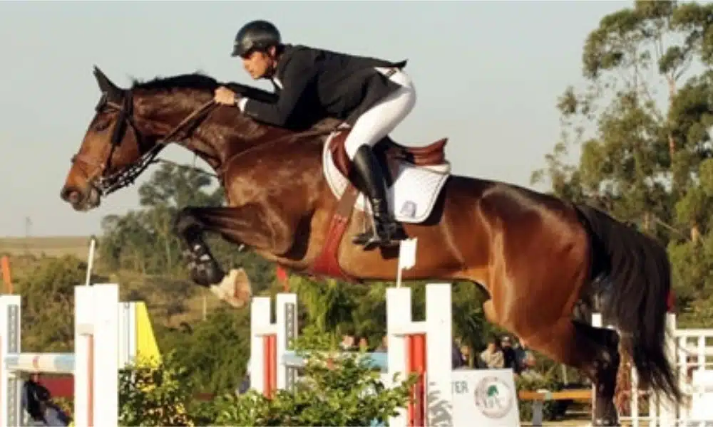 André Américo de Miranda - Nando de Miranda - Matheus Côrrea - Hipismo saltos campeão Bélgica Opglabbeek Sentower Park