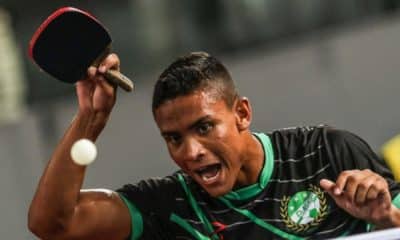 O tênis de mesa brasileiro terá a classificação de seus atletas em formato semelhante às cores de faixas das artes marciais. Esse protocolo de graduações foi elaborado pelo consultor internacional Michel Gadal. A regra de avaliação desenvolvida pelo francês está passando por testes em vários clubes do país. E a CBTM (Confederação Brasileira de Tênis de Mesa) deve implementar a nova norma no início de 2021.