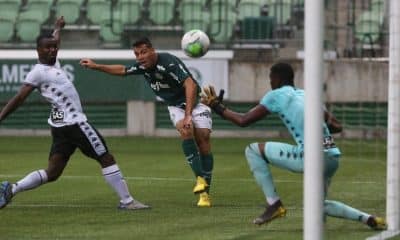Botafogo Palmeiras Campeonato Brasileiro Sub-20 de futebol masculino