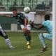 Botafogo Palmeiras Campeonato Brasileiro Sub-20 de futebol masculino