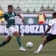 Palmeiras x Atlético-MG - Campeonato Brasileiro Sub-20 2020