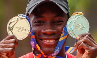 bolt brasileiro