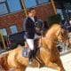 thiago ribas hipismo saltos lier