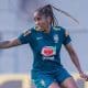 Chú reforça o Palmeiras