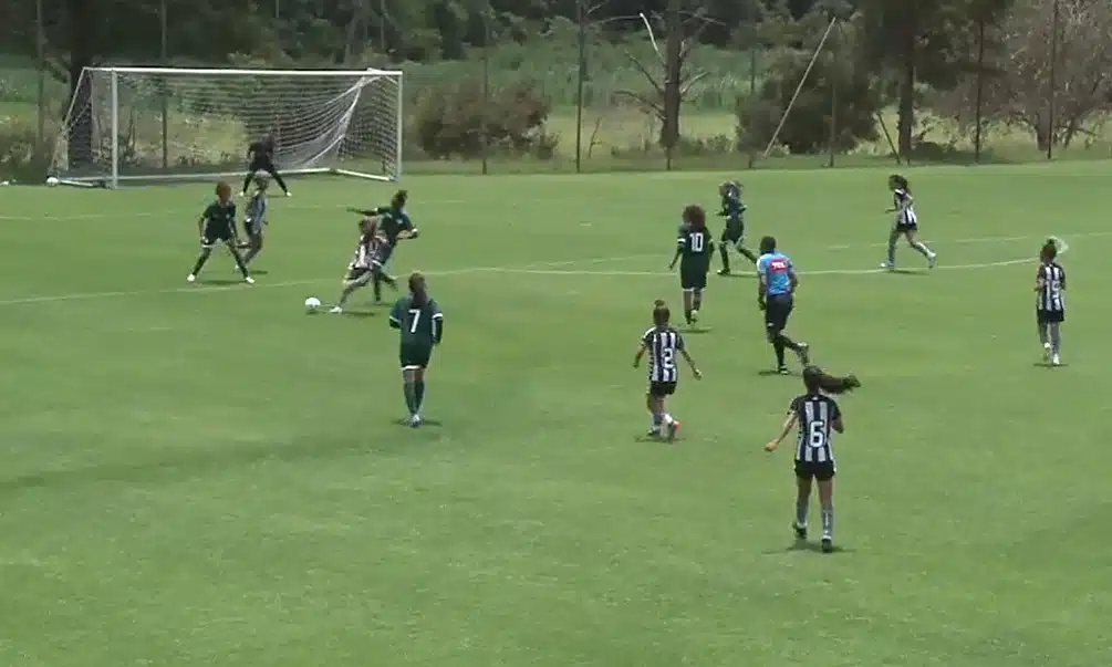 Botafogo Goiás Campeonato Brasileiro feminino Sub-18 futebol feminino