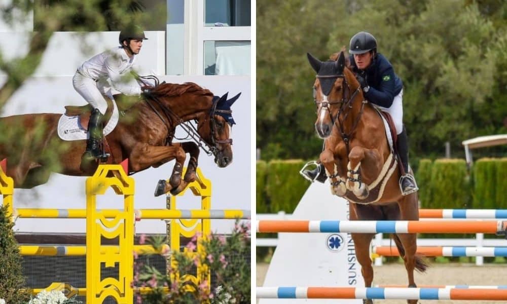 marlon zanotelli pedro veniss