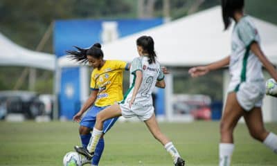 avaí kindermann iranduba classifica palmeiras
