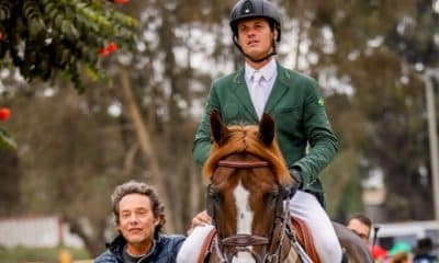 pedro veniss - hipismo saltos - Jogos Olímpicos de Tóquio 2020