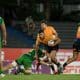 cobras jaguares superliga americana de rúgbi