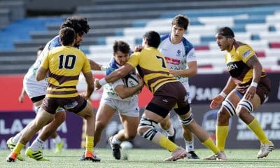 Cobras Brasil - superliga americana