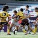 Cobras Brasil - superliga americana