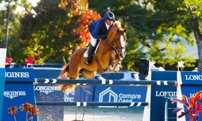 José Reynoso e Azrael W saltam para a vitória no GP do CSI-W de Curitiba