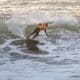 Mundial de Surfe Newcastle Cup
