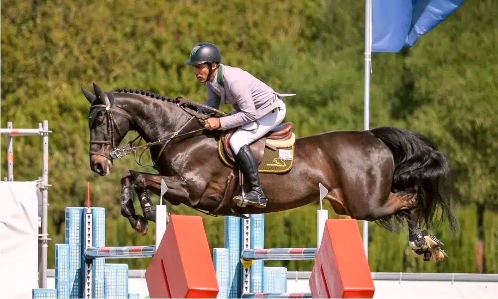 Francisco Musa conquista primeiro lugar em prova do Grand Prix de Londres (Foto: Instagram/franciscomusa)