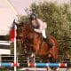 Francisco Musa ficou em 14° lugar em prova da Copa das Nações de Hickstead, na Inglaterra (Instagram/franciscomusa/arquivo)