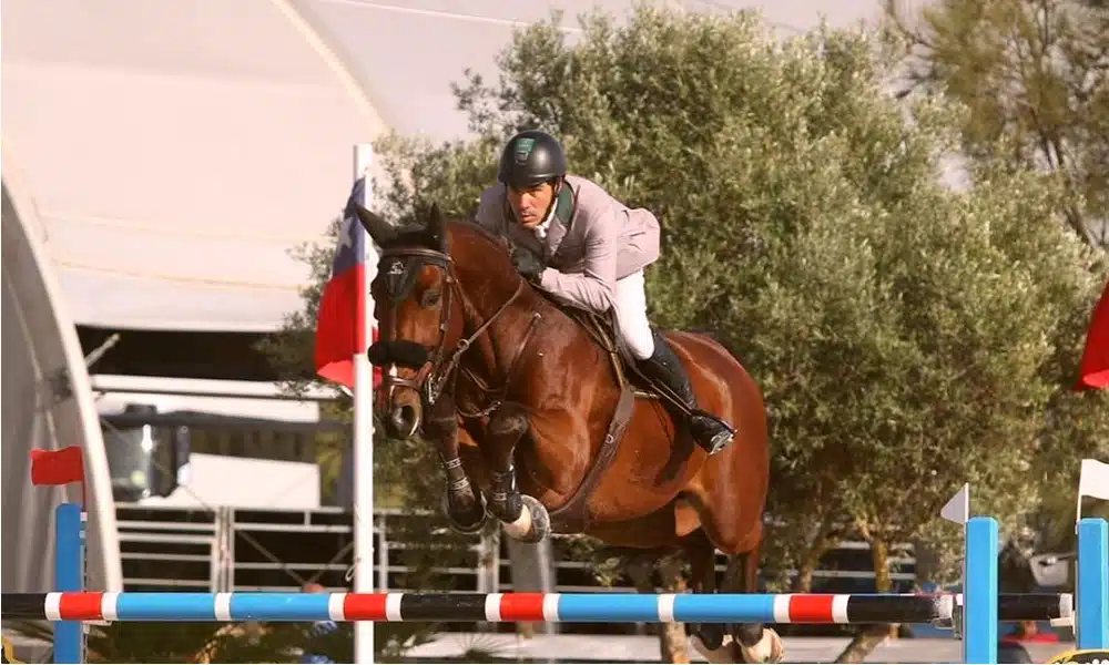 Francisco Musa ficou em 14° lugar em prova da Copa das Nações de Hickstead, na Inglaterra (Instagram/franciscomusa/arquivo)