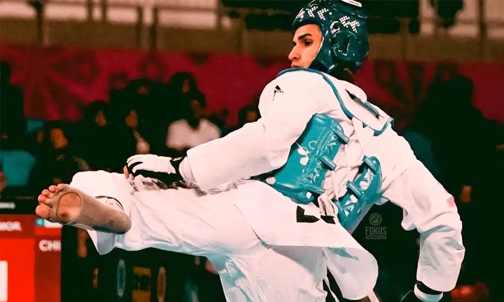 Pan-Americano de taekwondo - Netinho - Milena Titoneli - ícaro Miguel