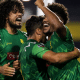 Cobras Brasil SLAR