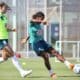 Seleção feminina de futebol