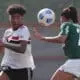 Brasileiro Feminino São Paulo Palmeiras
