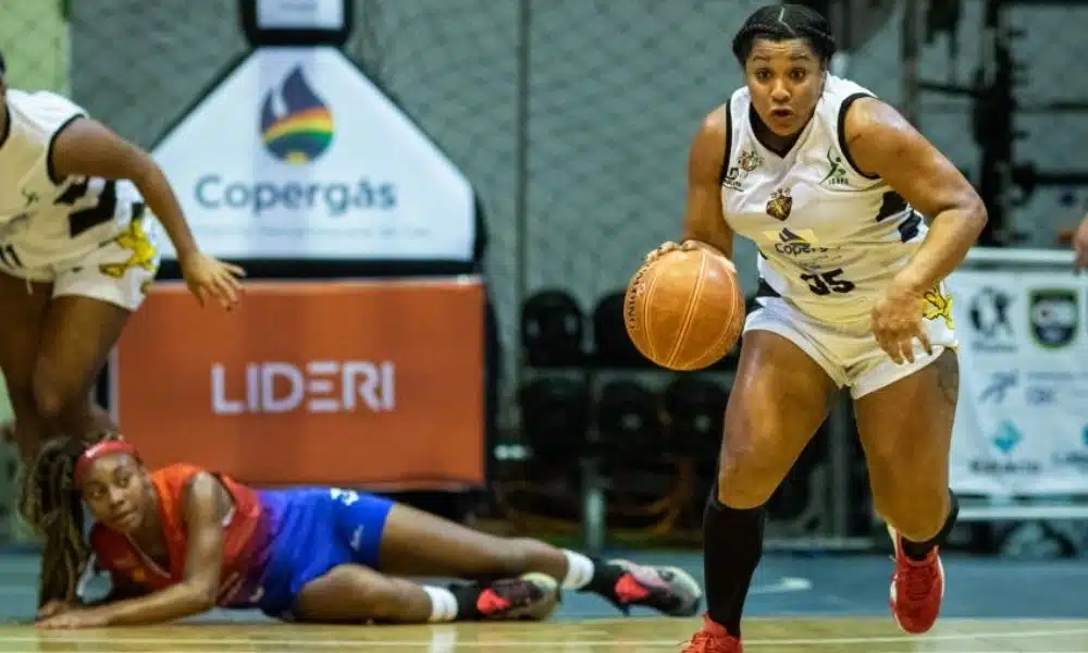 Brasileiro de basquete feminino