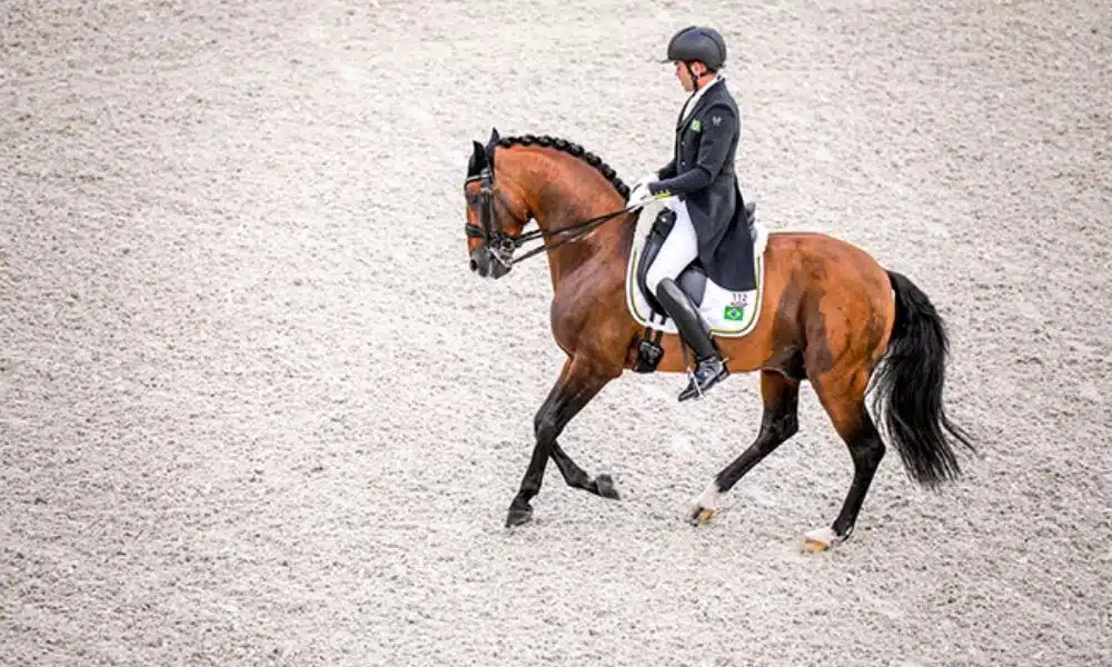 João Victor Oliva - Adestramento - Aachen Alemanha