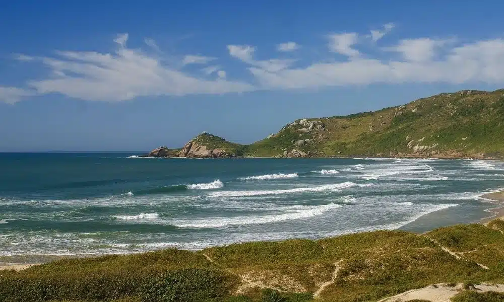 QS 3000 Florianópolis - Praia Mole