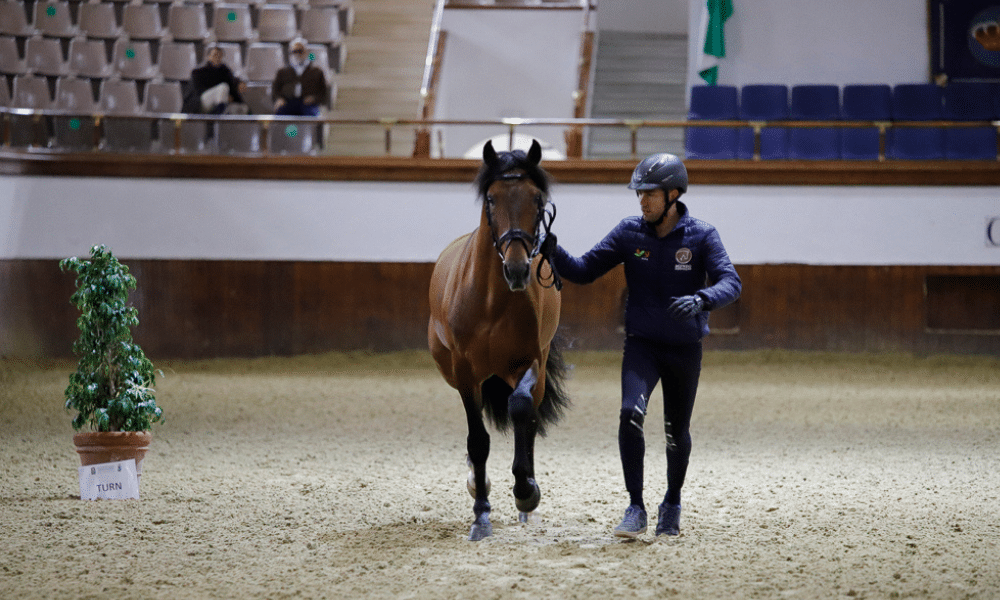 João Victor Oliva montando Escorial Horsecampline venceu o Grand Prix de hipismo adestramento em Andaluzia, na Espanha