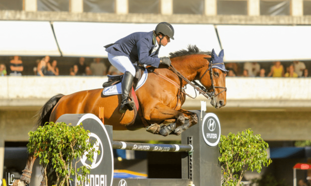 Copa SP de hipismo saltos concurso
