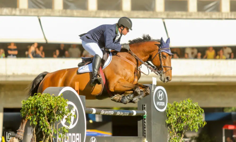 Copa SP de hipismo saltos concurso