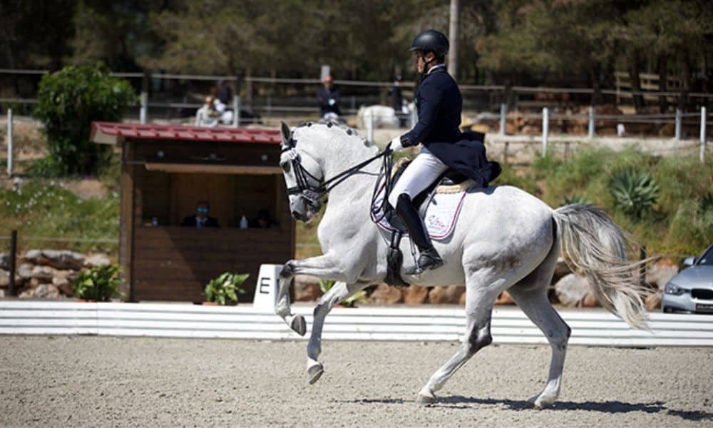Pedro Almeida e Famous Do Vouga faturam Grand Prix no CDI3* de Segovia, na Espanha Arquivo CBH