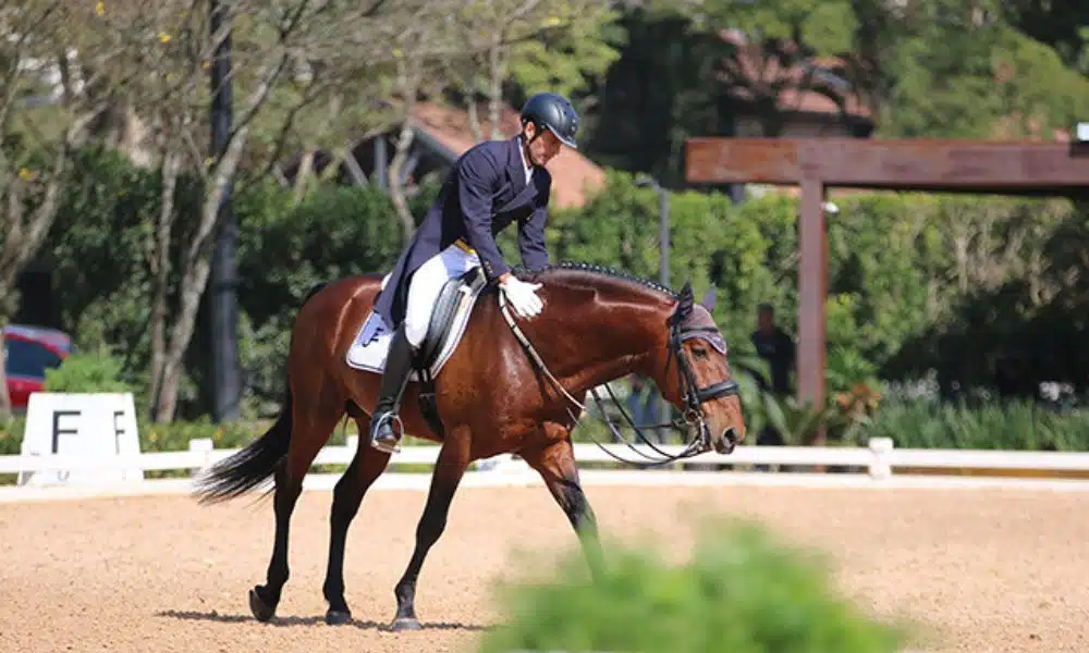 CBH define equipe de Adestramento para o Sul-americano