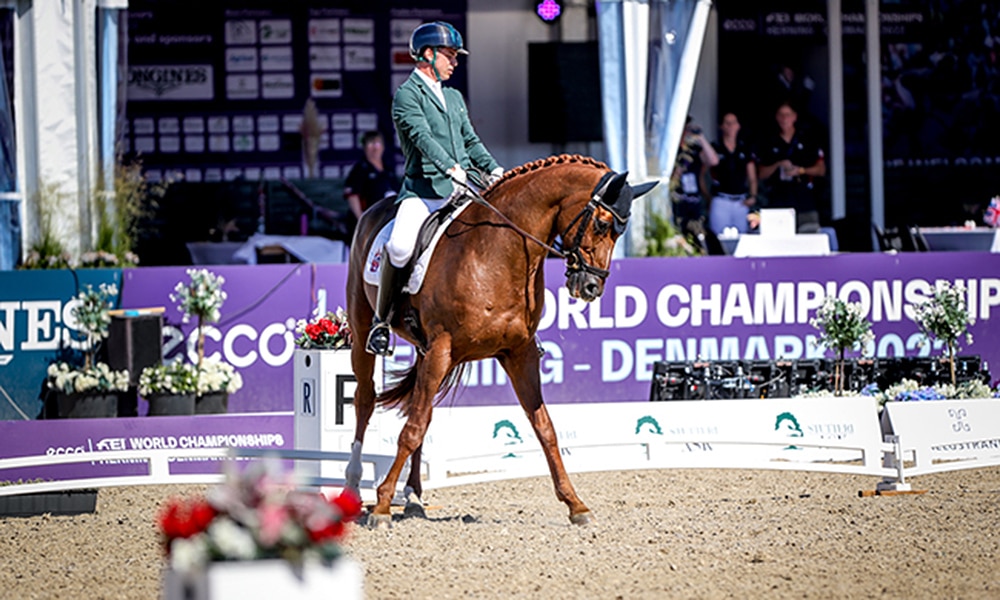 Rodolpho Riskalla hipismo paralímpico adestramento Mundial de Hipismo Herning Dinamarca