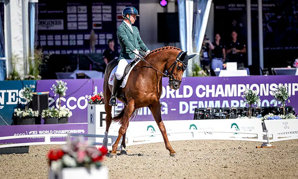 Rodolpho Riskalla hipismo paralímpico adestramento Mundial de Hipismo Herning Dinamarca