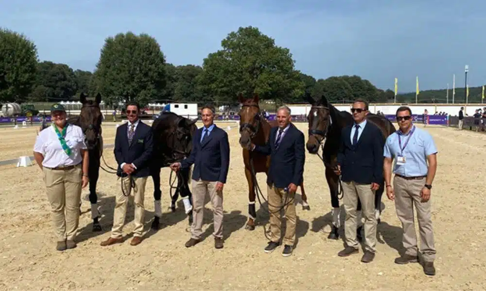 Mundial de hipismo cce