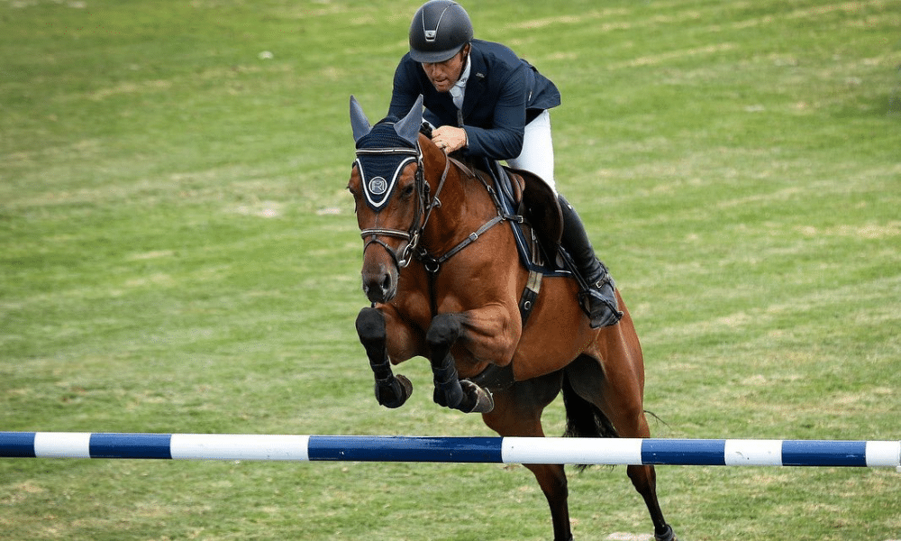 Raphael Barros Rodrigo Lambre Copa do Mundo de hipismo saltos