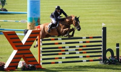 Na imagem, Carlos Eduardo Ribas e seu cavalo saltando um obstáculo.