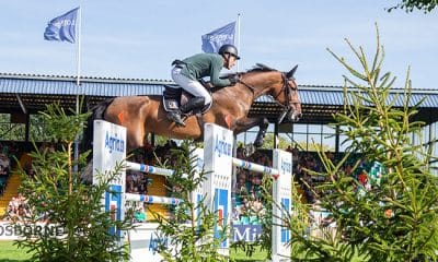 Na imagem, Francisco Musa saltando obstáculo com seu cavalo.