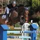 Na imagem, Pedro Backheuser saltando obstáculo com seu cavalo.